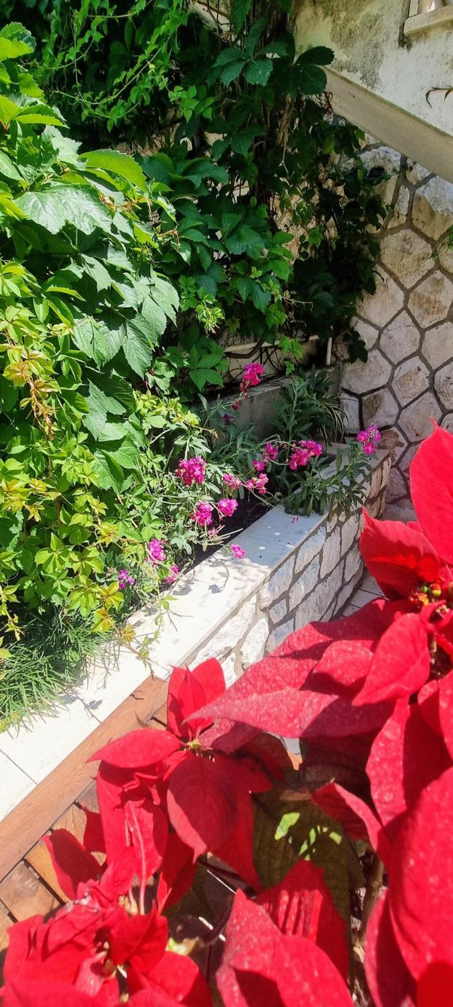 Apartment Lea Bayview Dubrovnik Extérieur photo